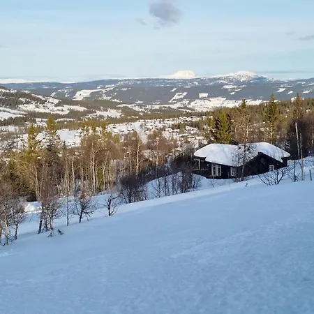 Lovely In With House A Mountain View